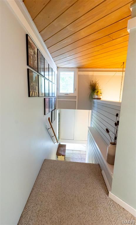 13365 County Road 5110
