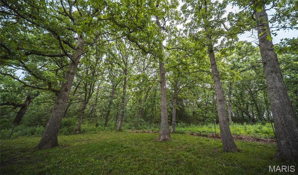 11320 County Road 2140