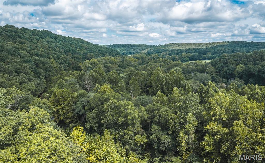 14855 County Road 7360
