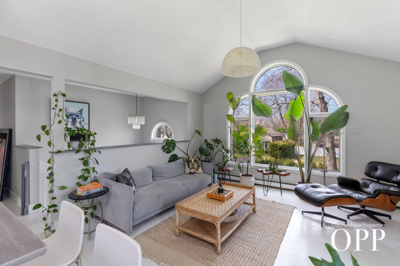 LIGHT-FILLED LIVING IN THE HAMLET