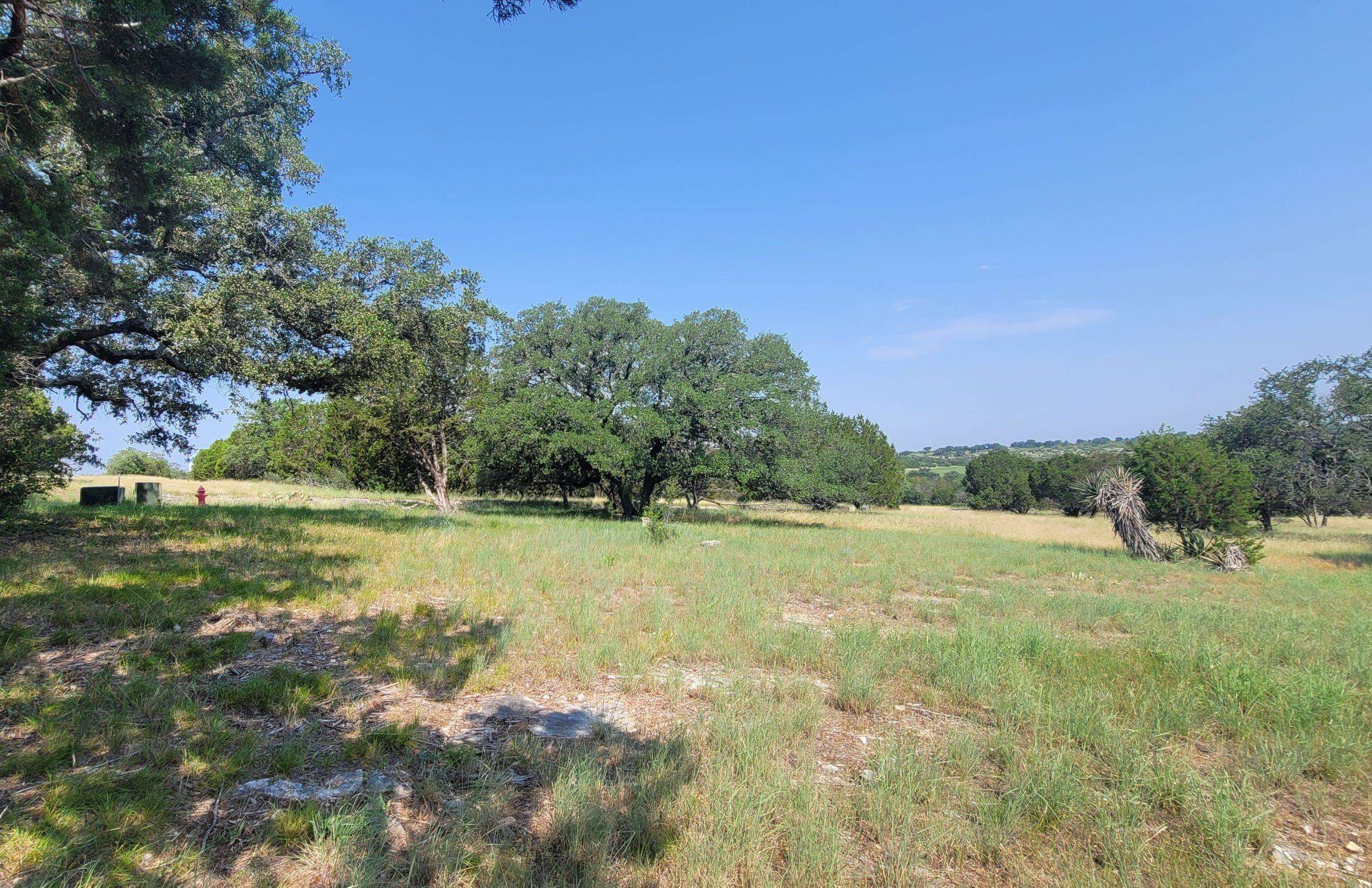 Lot 14140 Purple Sage