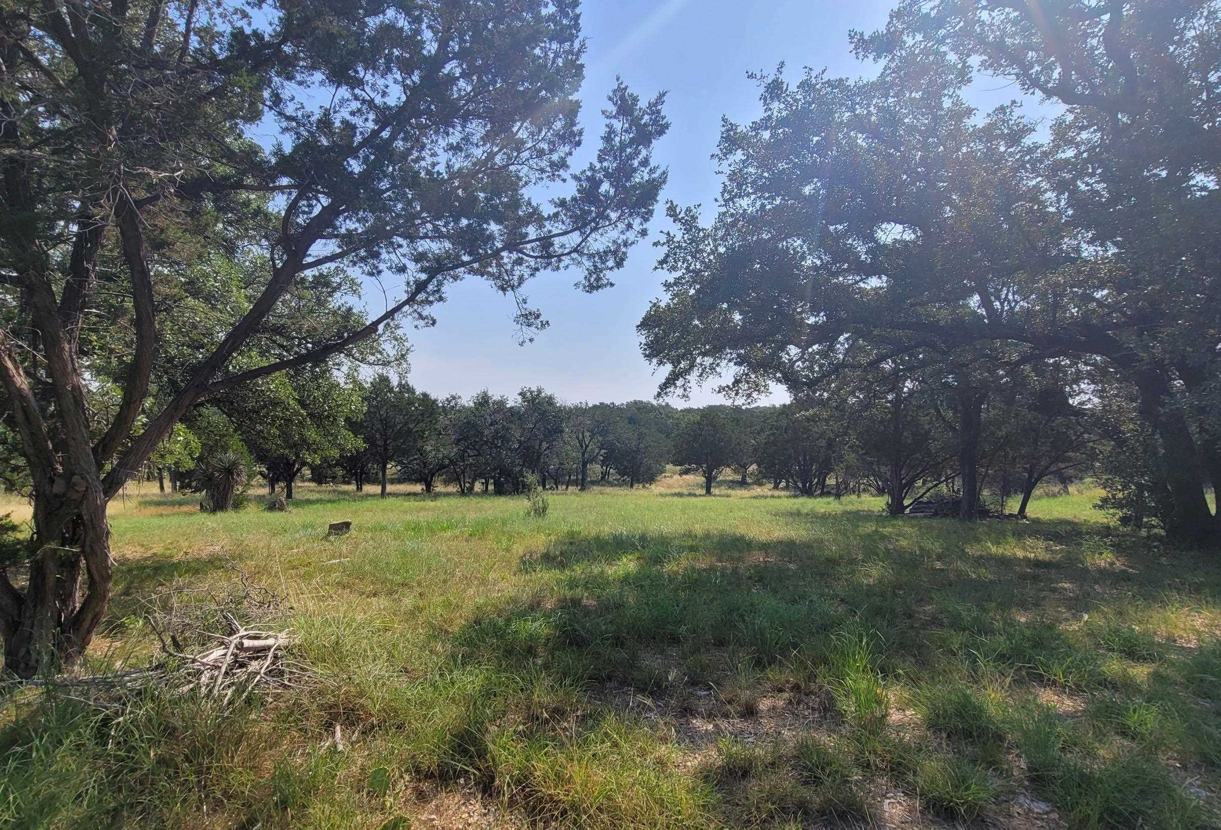 Lot 14140 Purple Sage