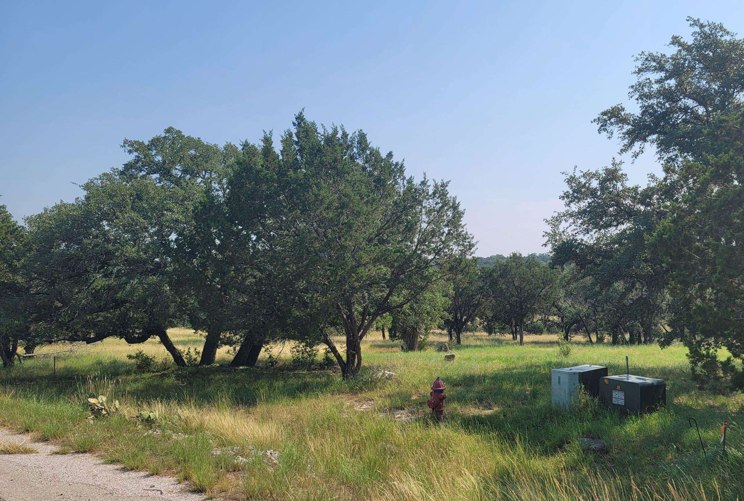 Lot 14140 Purple Sage