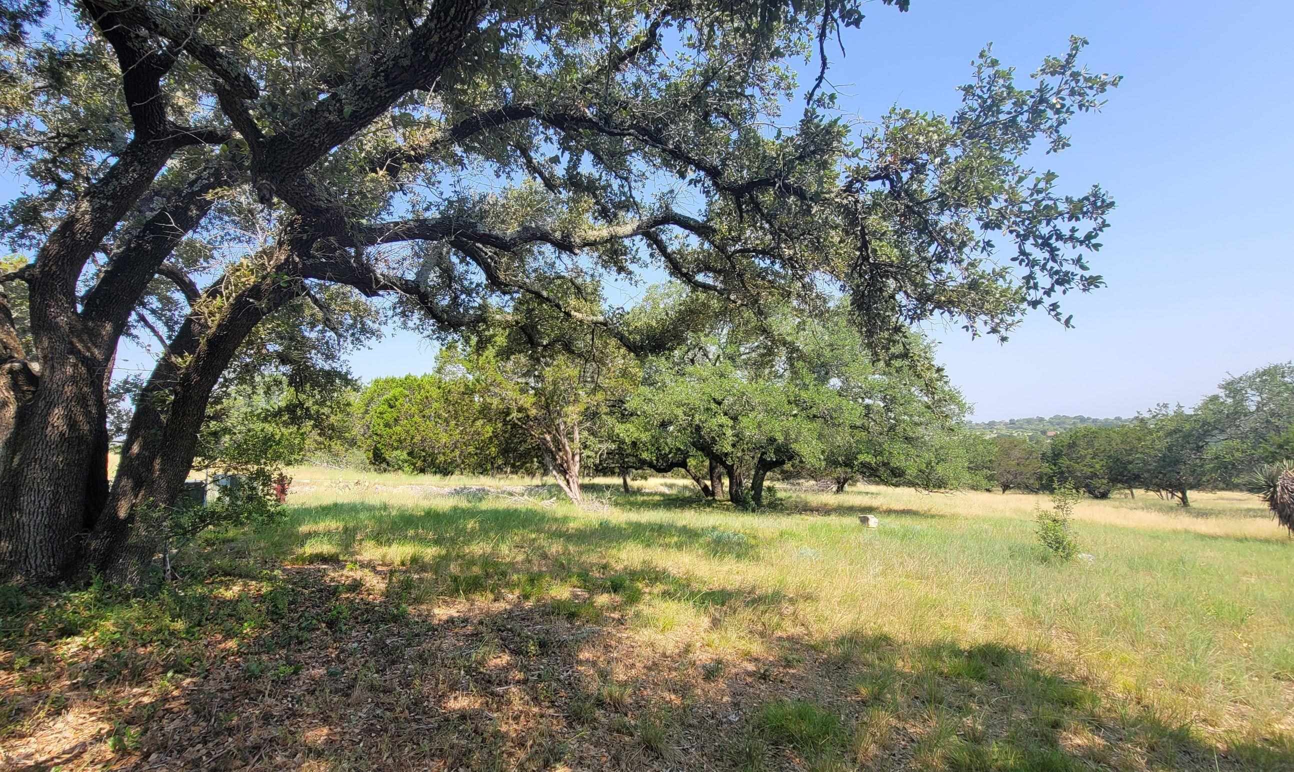 Lot 14140 Purple Sage