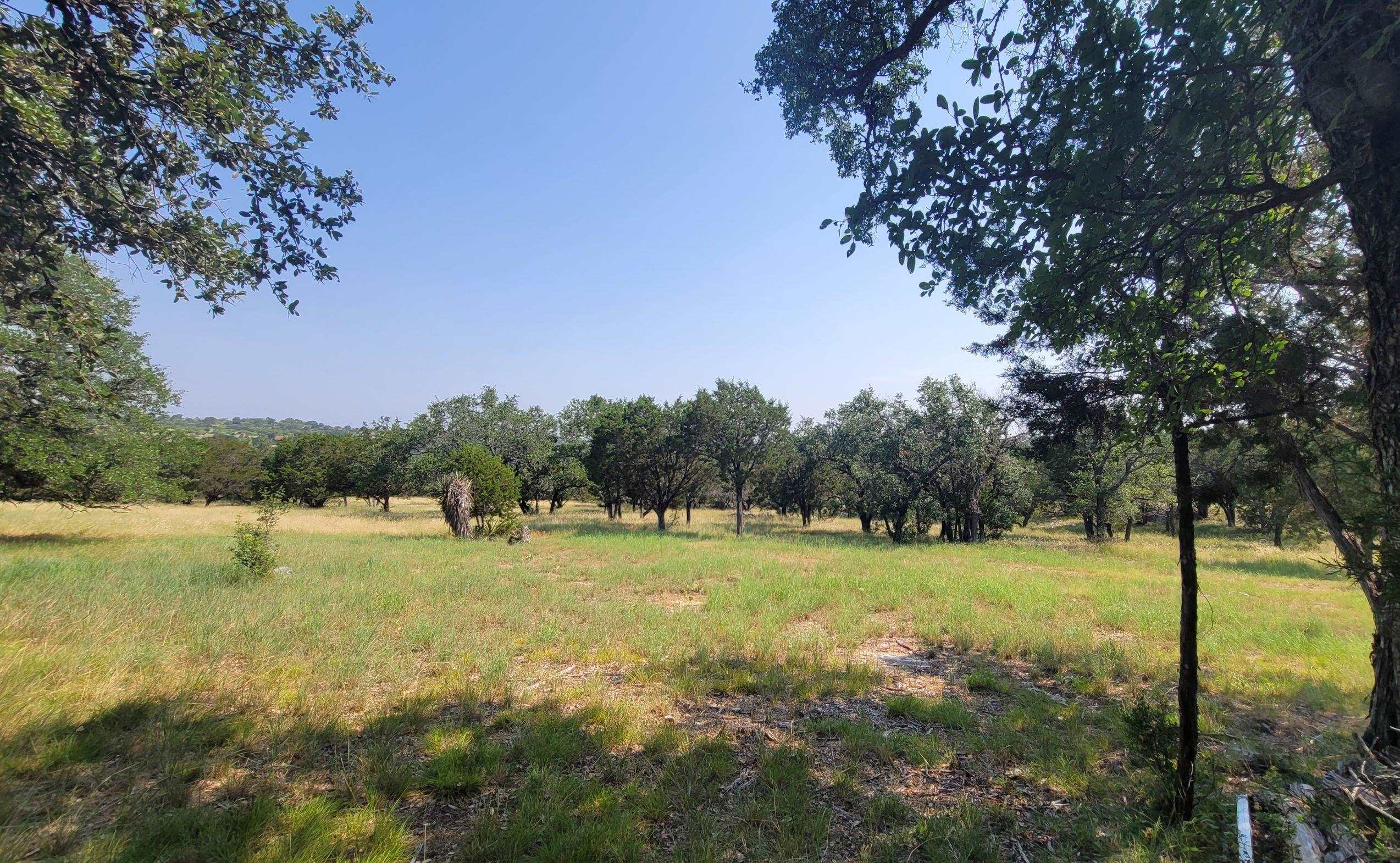 Lot 14140 Purple Sage