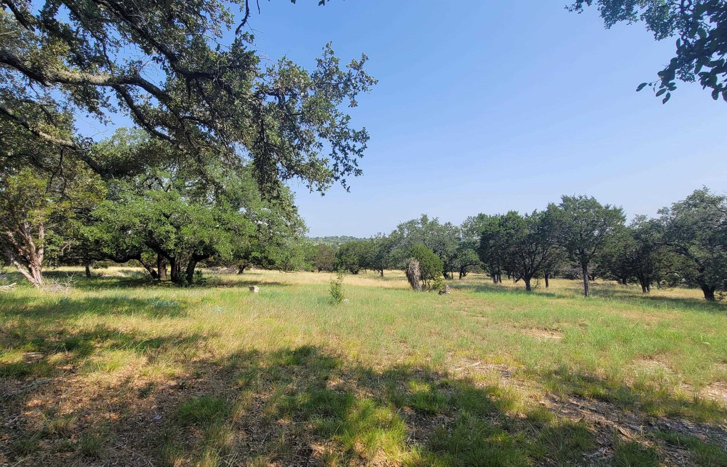 Lot 14140 Purple Sage