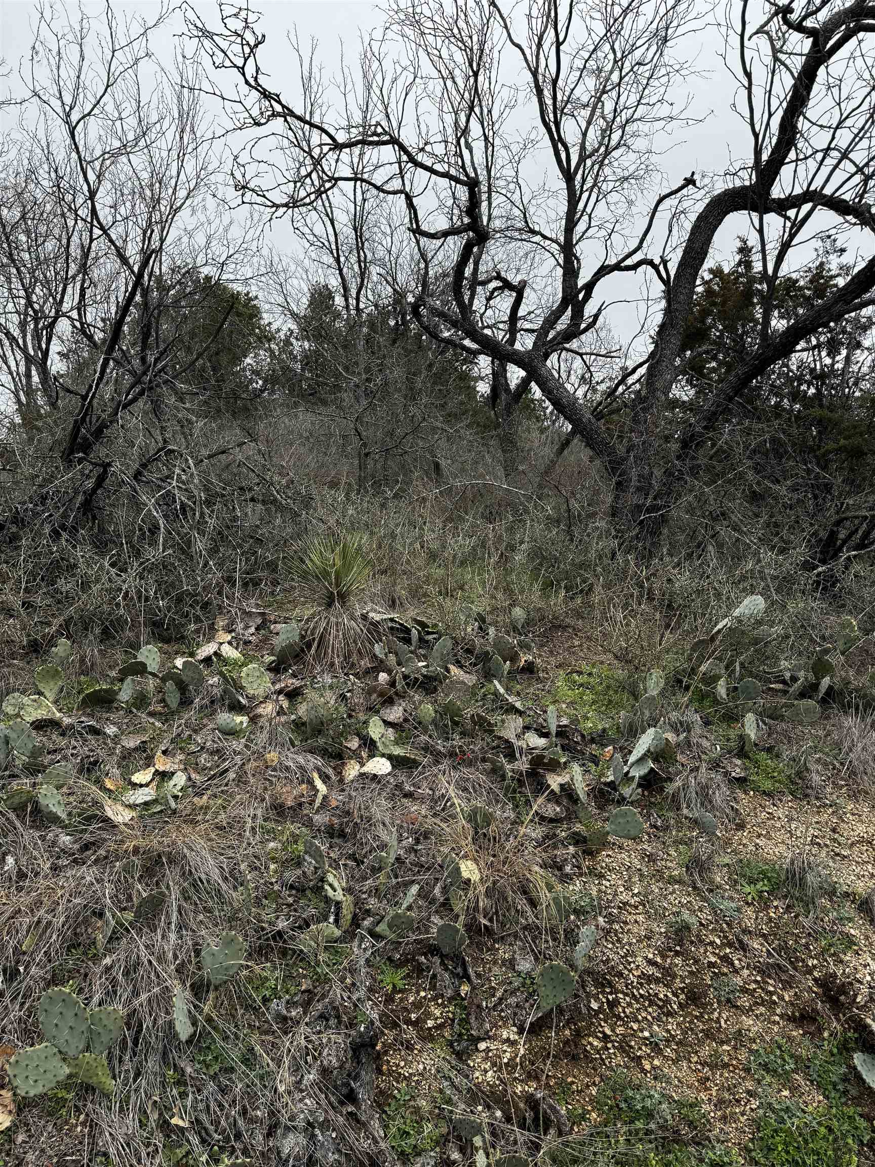 Lot 424 Castlewood Drive