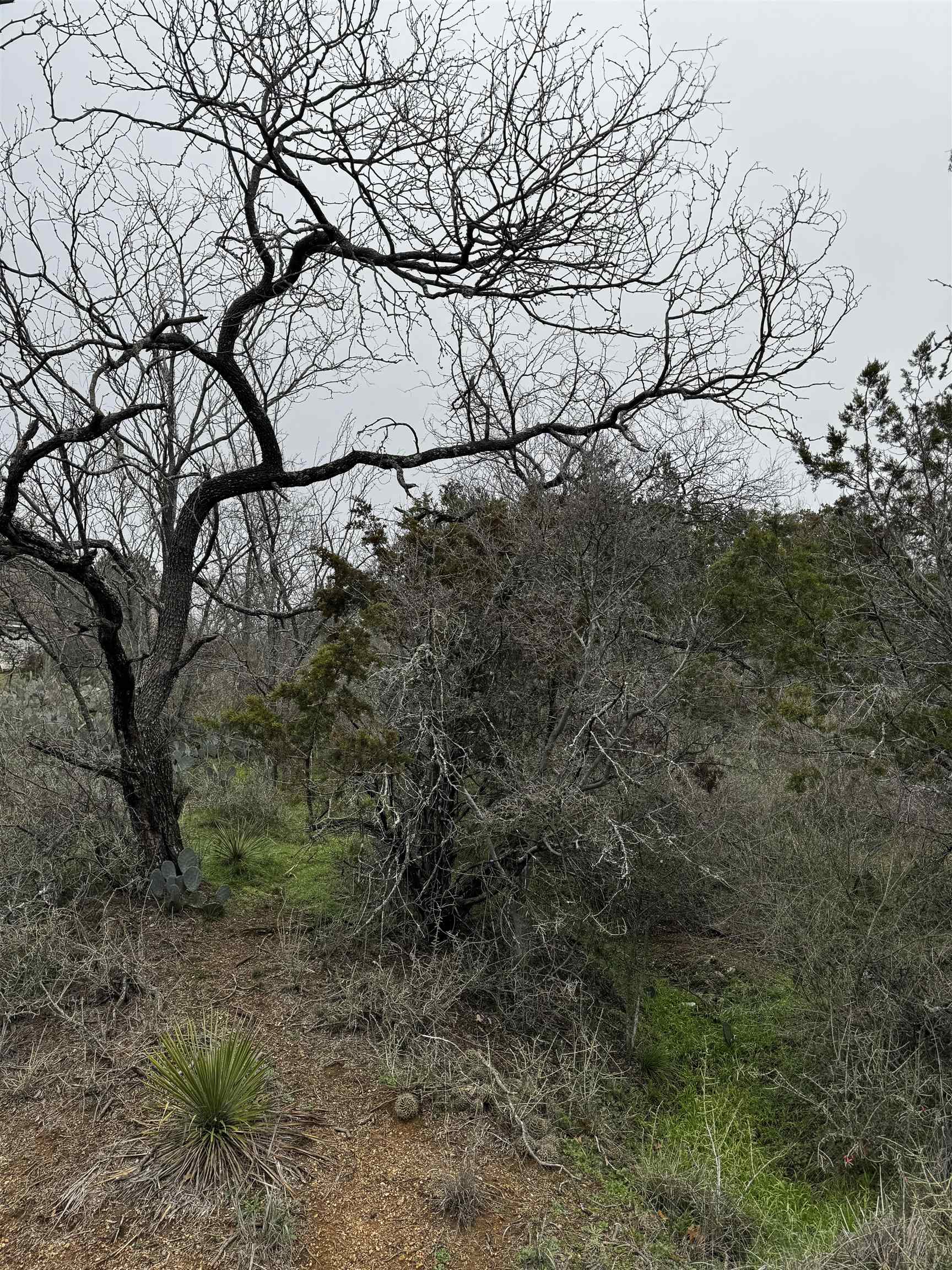 Lot 424 Castlewood Drive