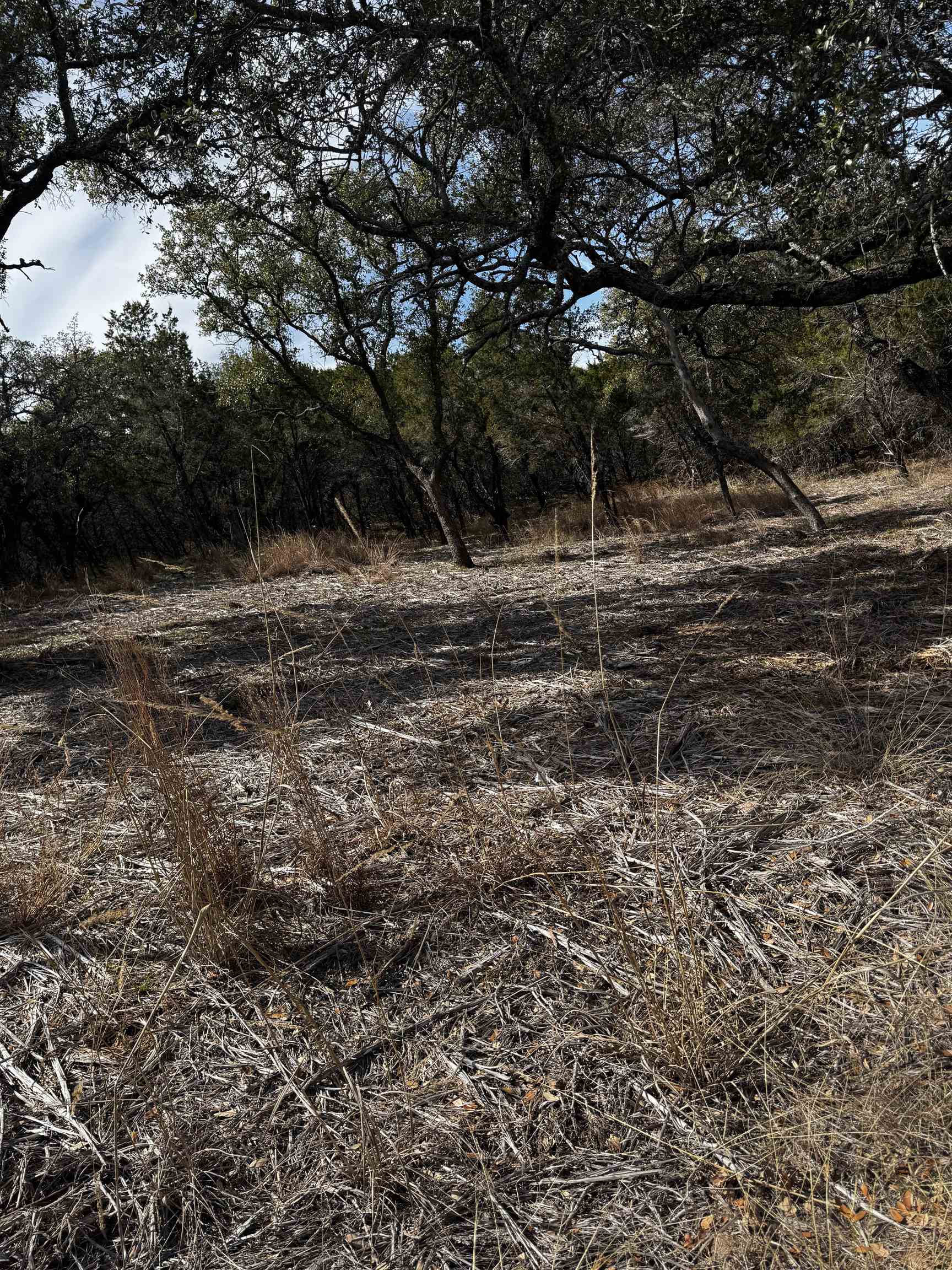 00 Lot K13046 Thanksgiving Mountain