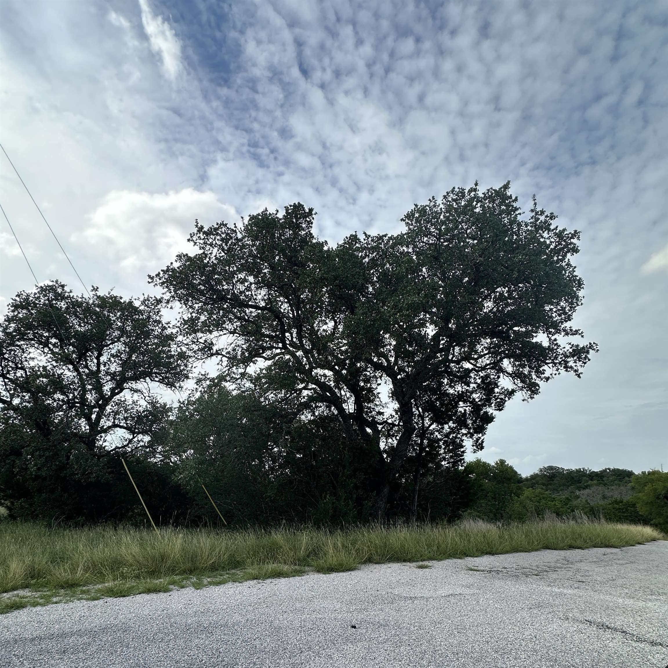 Lot# K10210 Buzzards Roost & Mountain Dew Rd