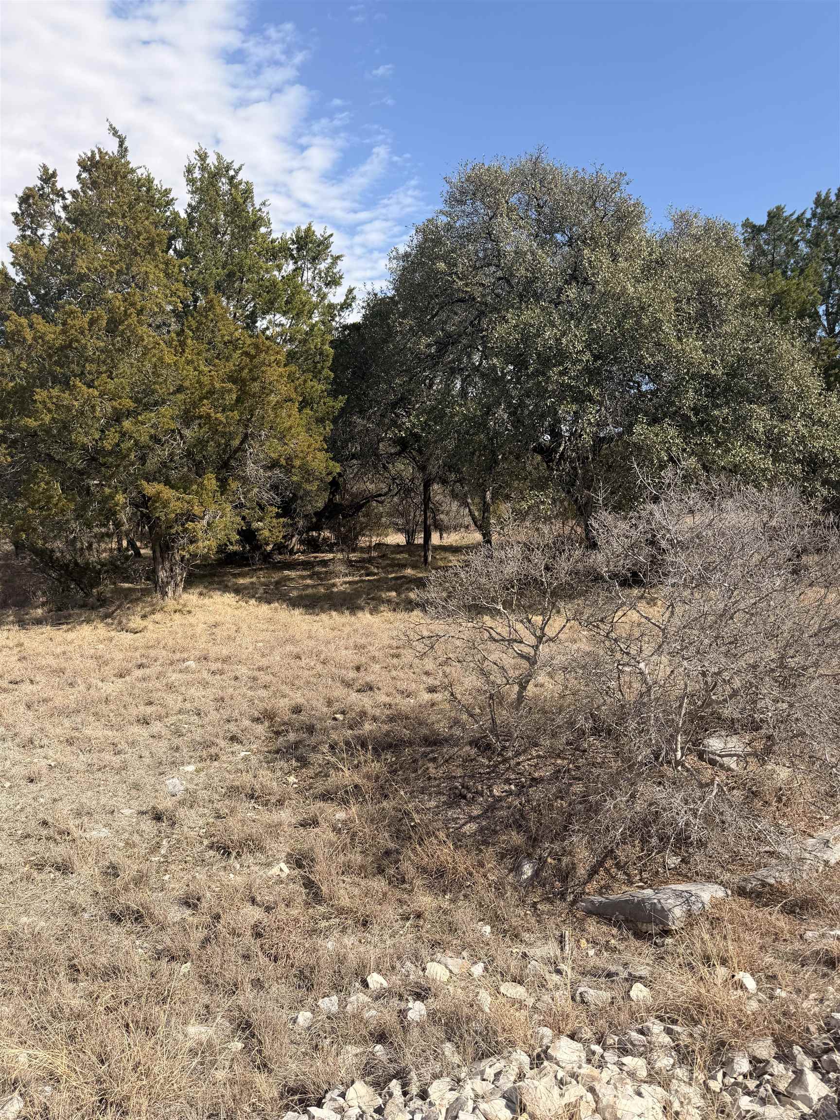 LT 14135 Purple Sage