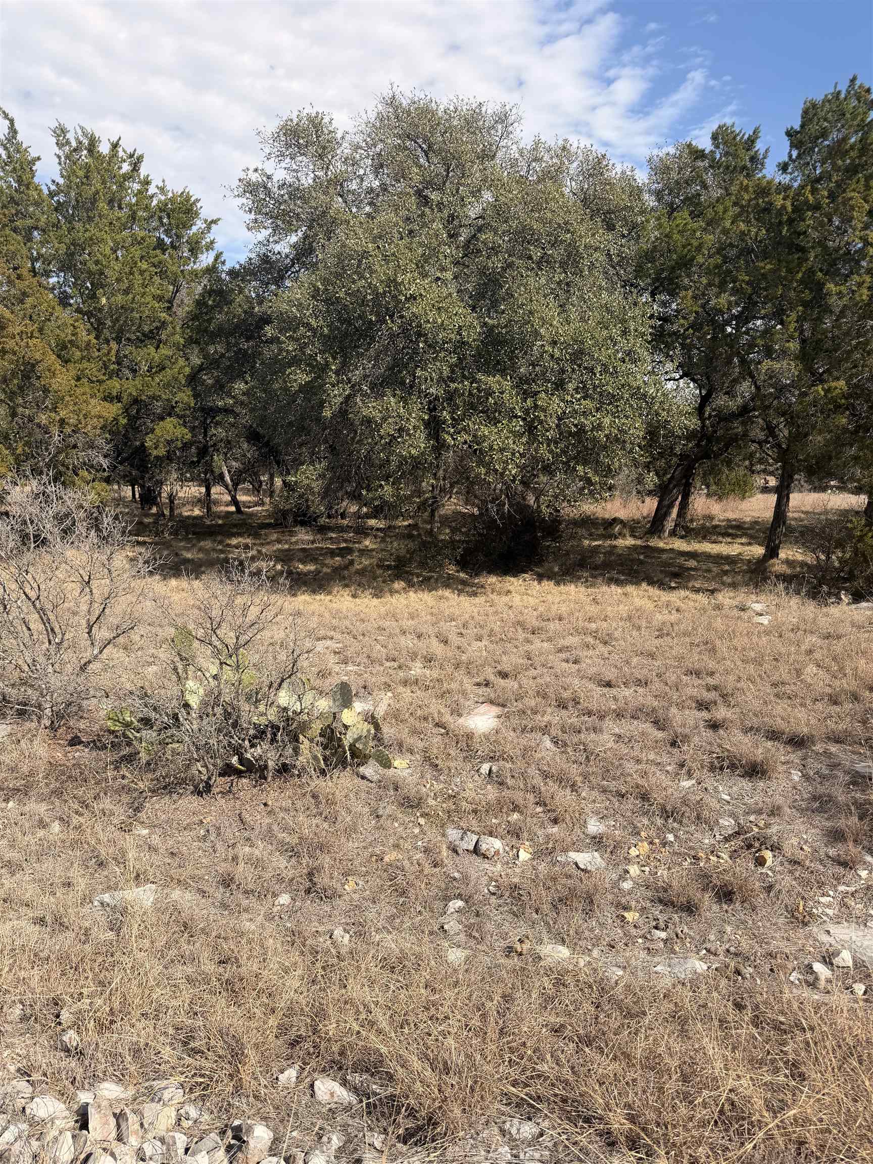 LT 14135 Purple Sage