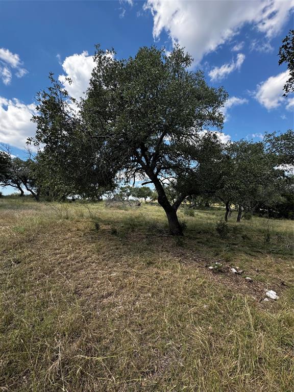 LOT 89 WHITETAIL TRAIL