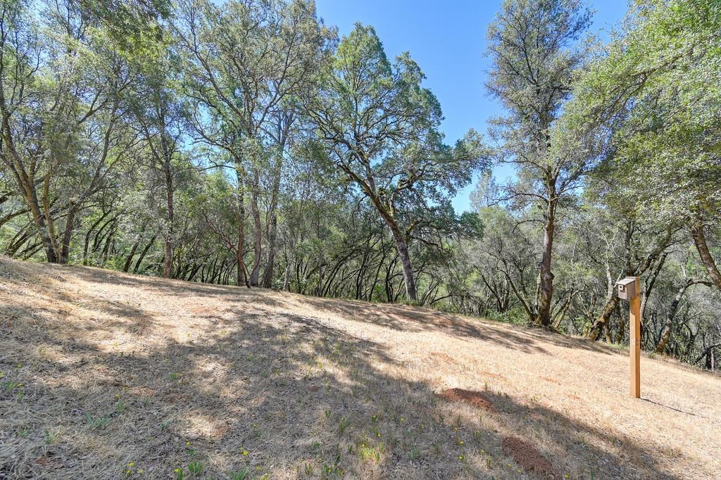 17595 Cherry Creek Road