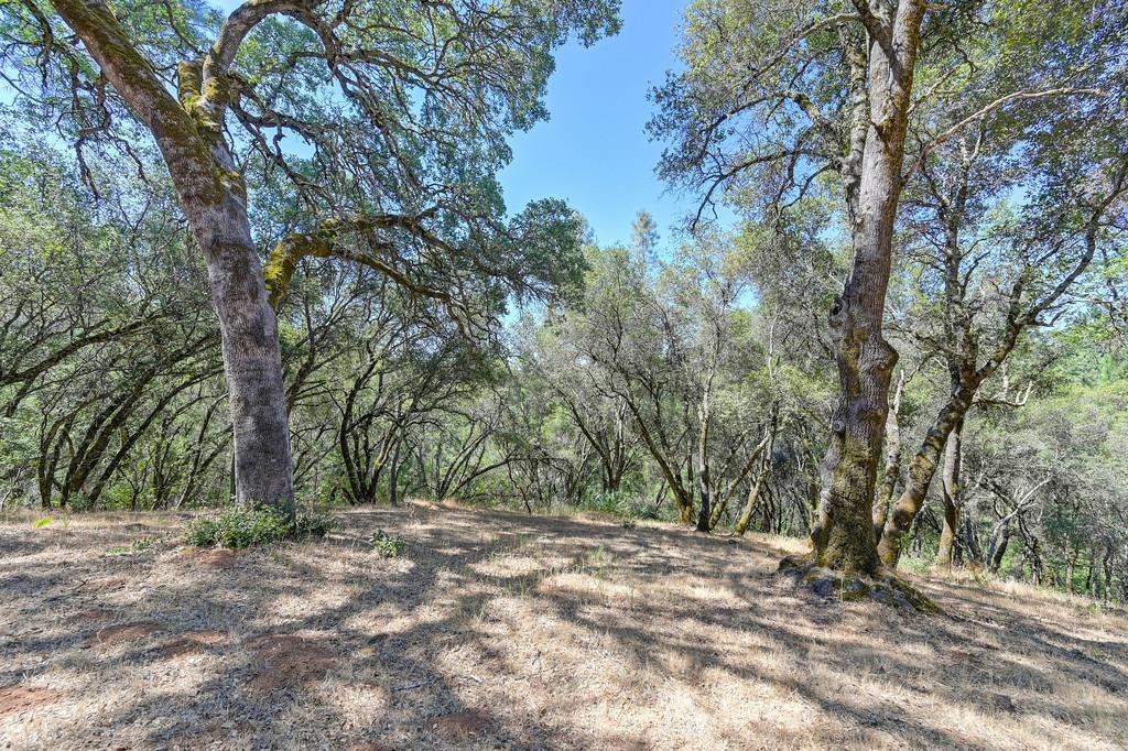 17595 Cherry Creek Road