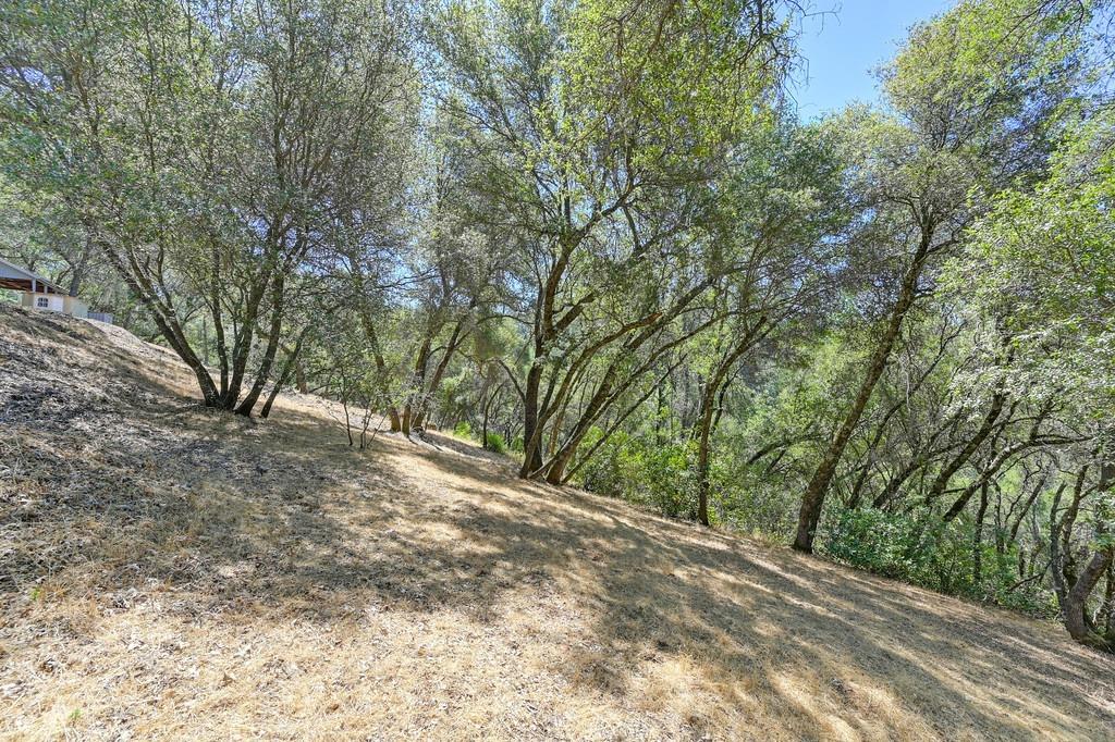 17595 Cherry Creek Road