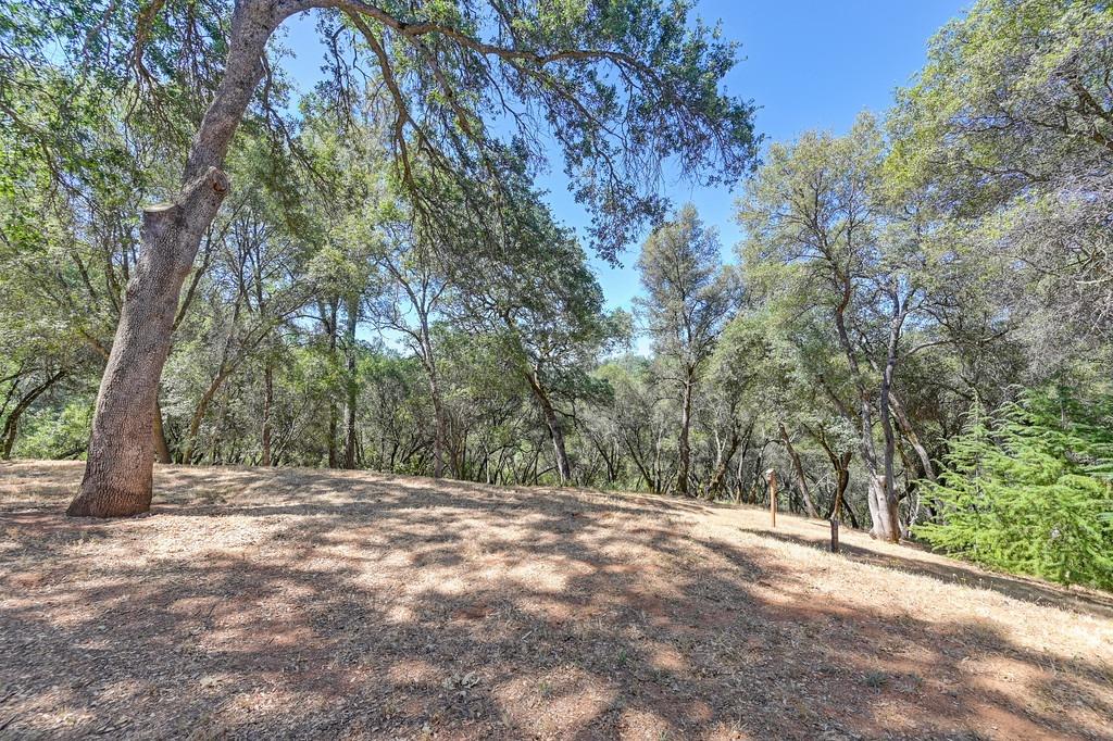 17595 Cherry Creek Road