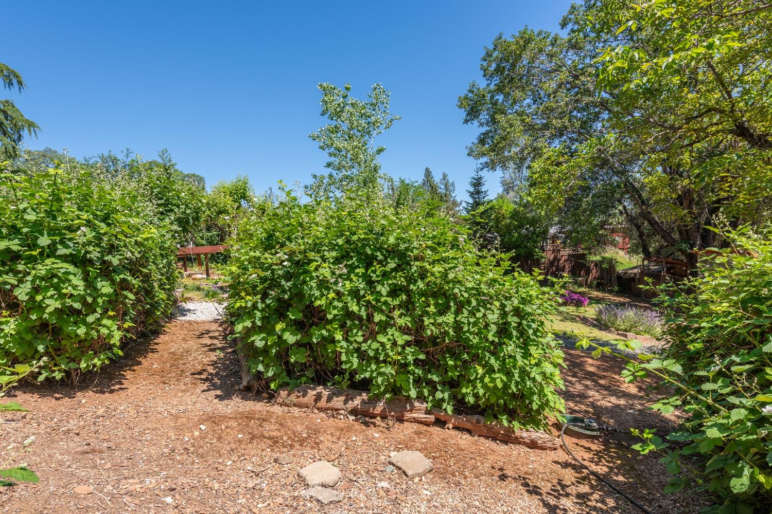 2245 State Highway 49