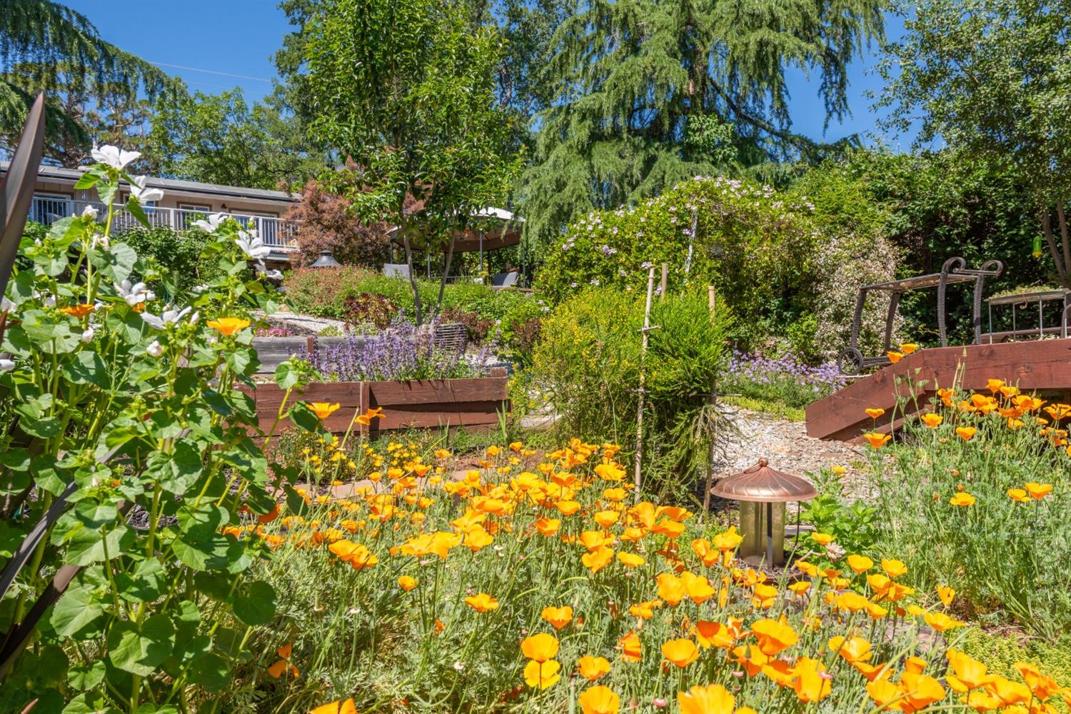 2245 State Highway 49