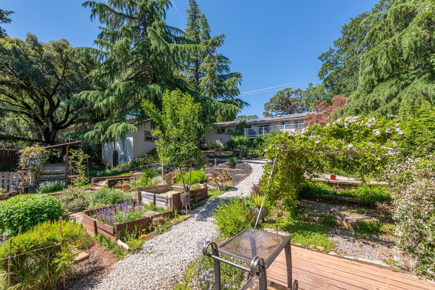 2245 State Highway 49