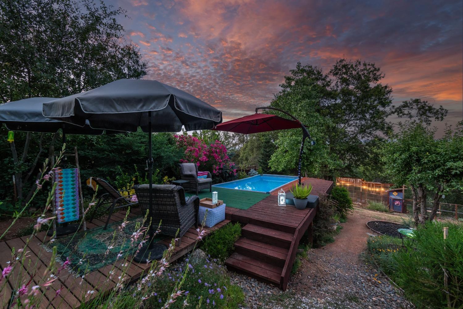 2245 State Highway 49