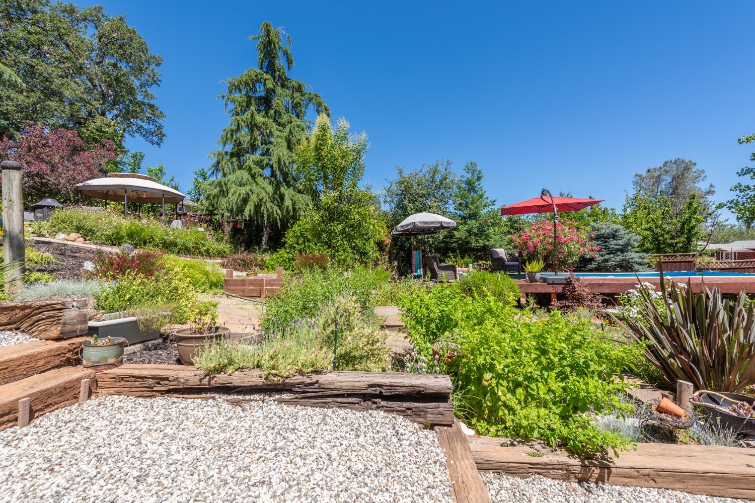 2245 State Highway 49