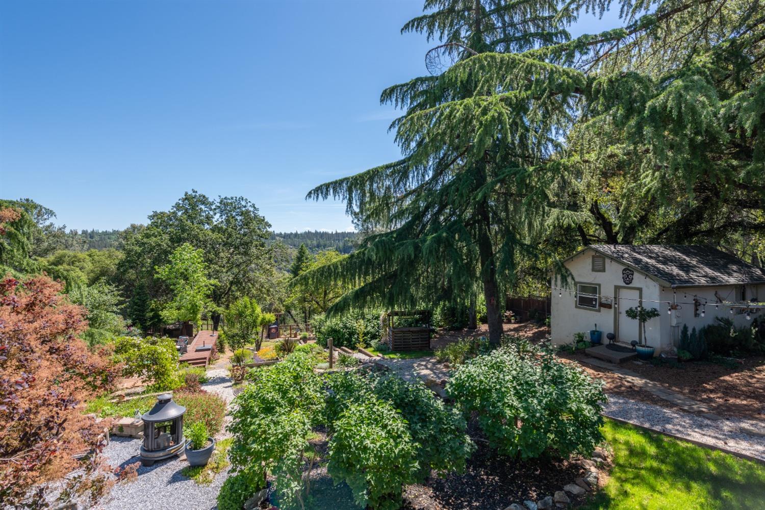 2245 State Highway 49