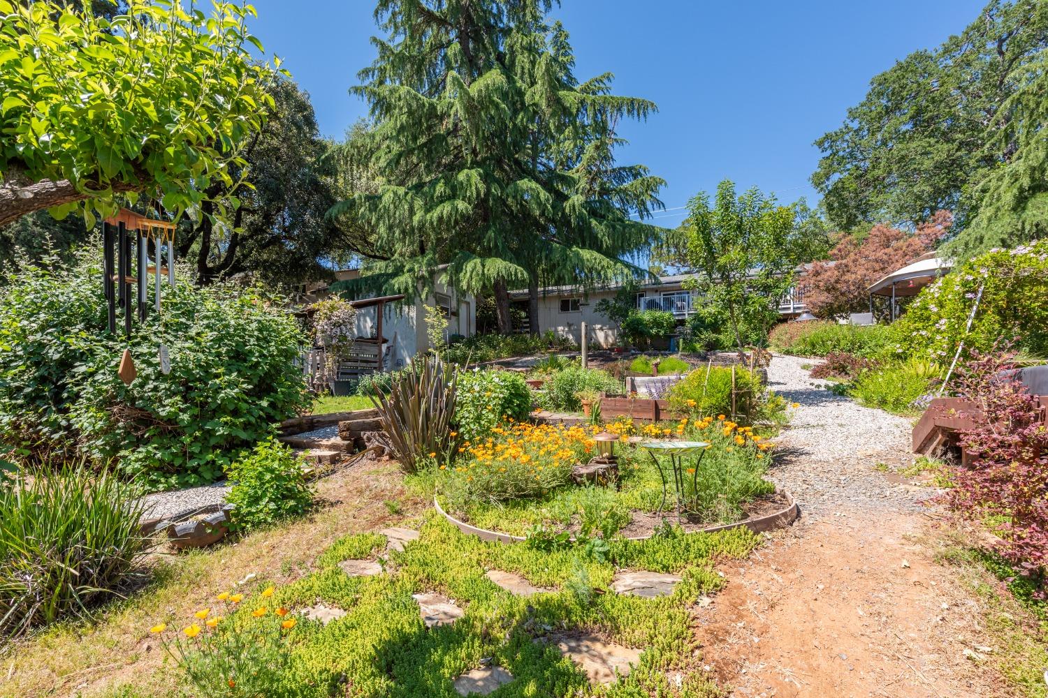 2245 State Highway 49