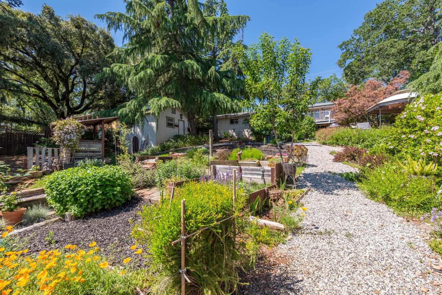 2245 State Highway 49