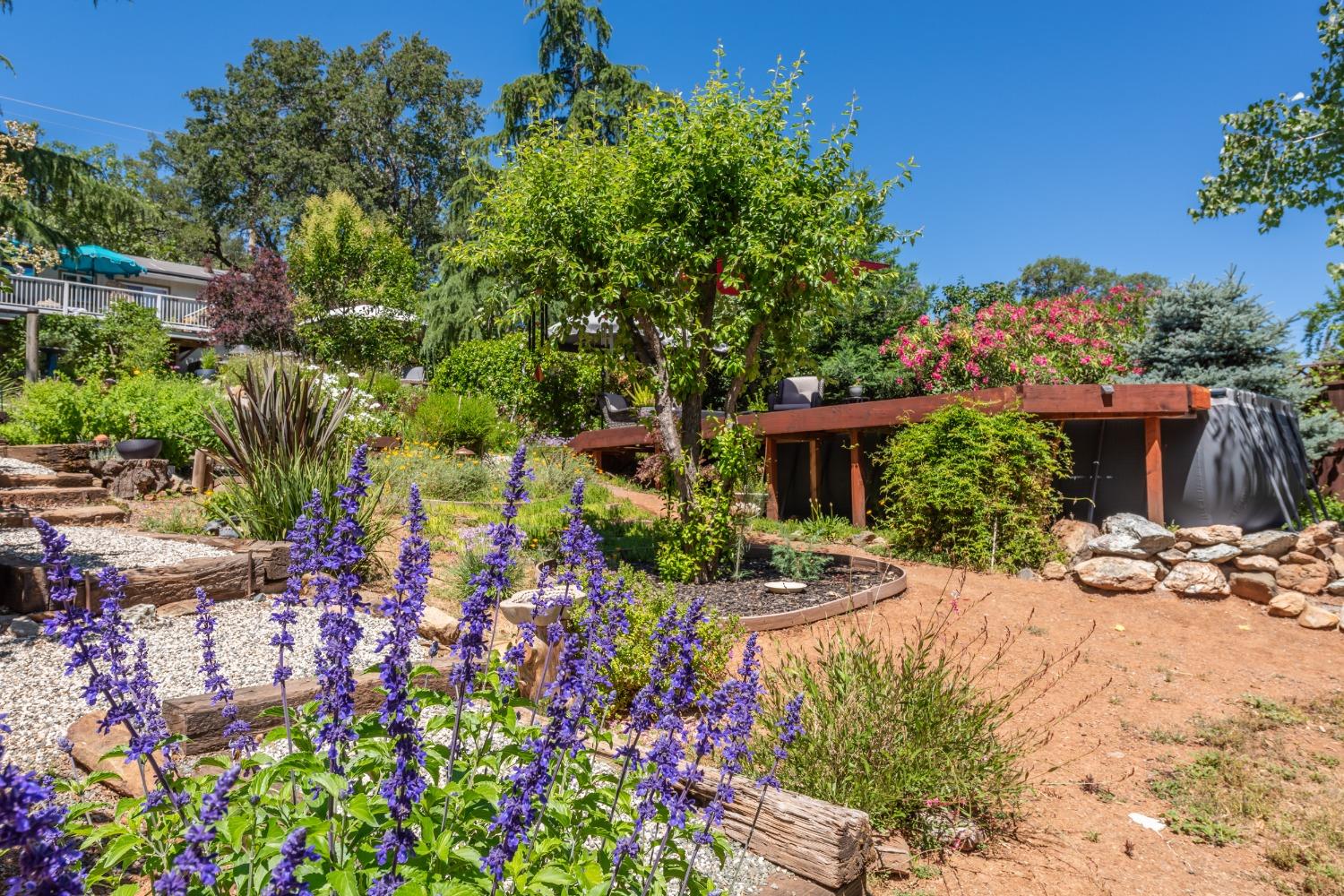 2245 State Highway 49