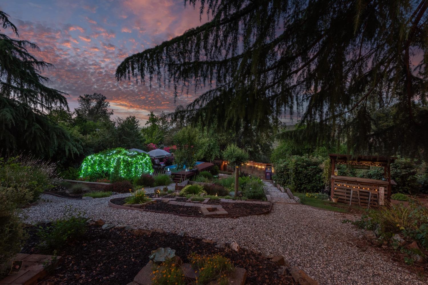 2245 State Highway 49