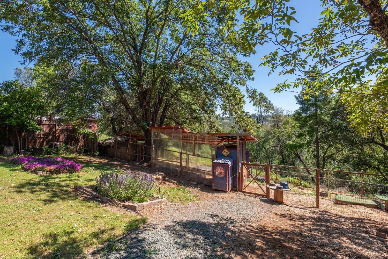 2245 State Highway 49