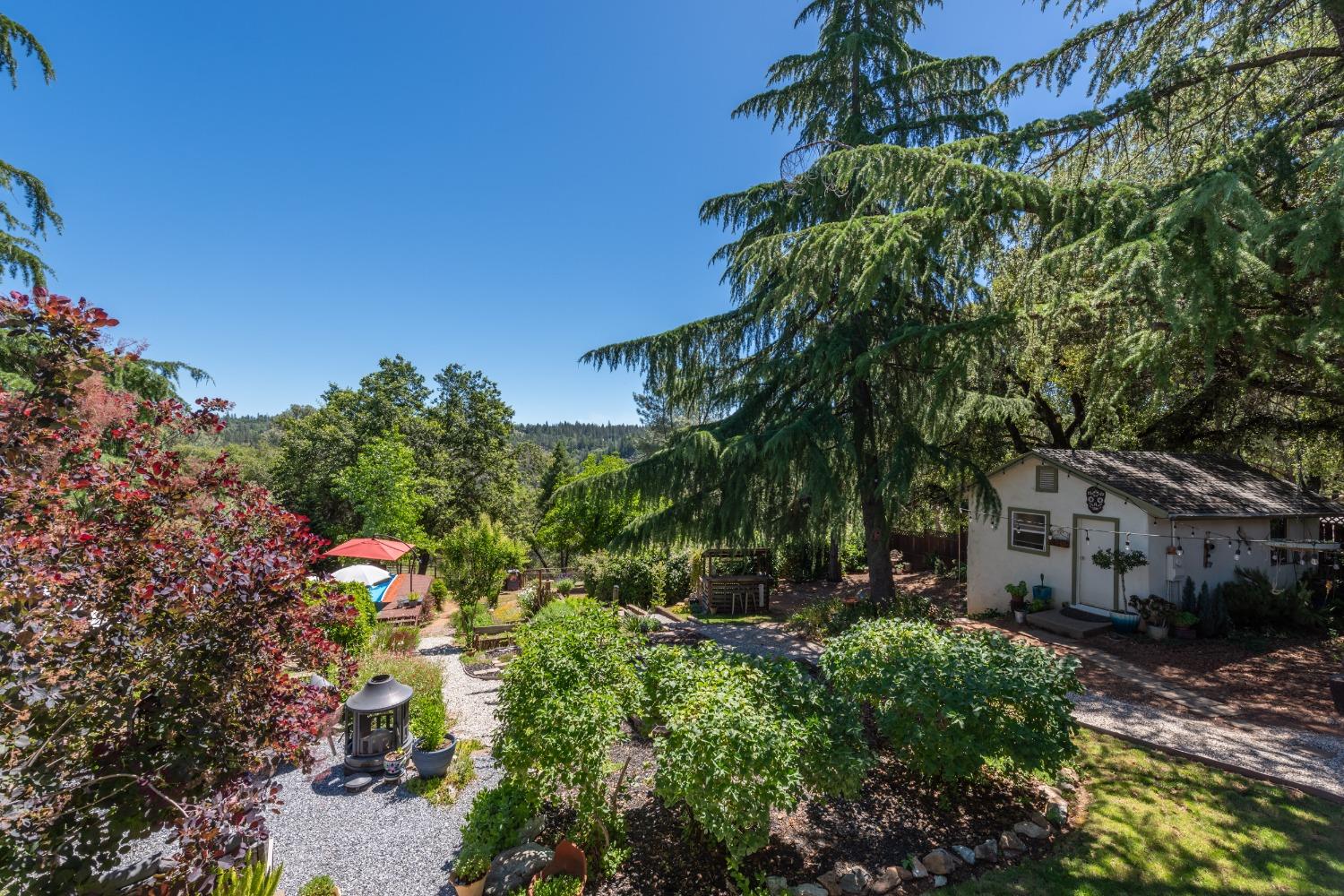 2245 State Highway 49