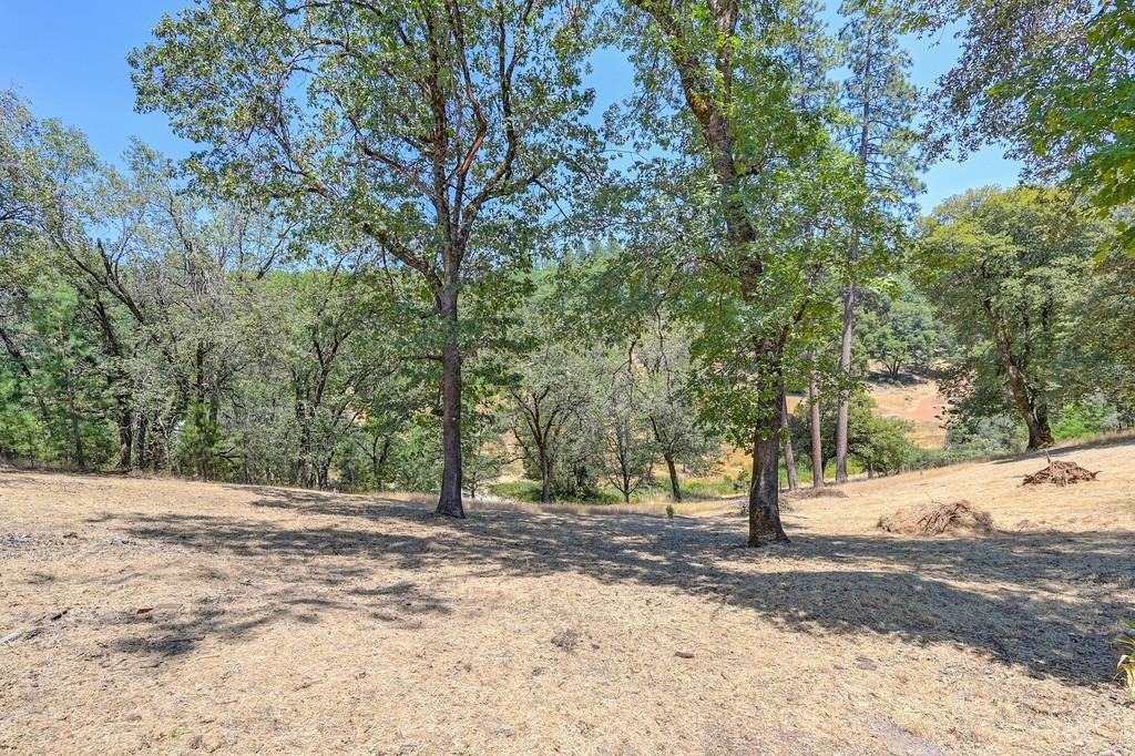 12587 Old Stagecoach Road