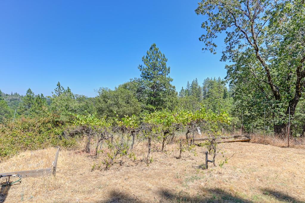 370 Bon Vue Drive