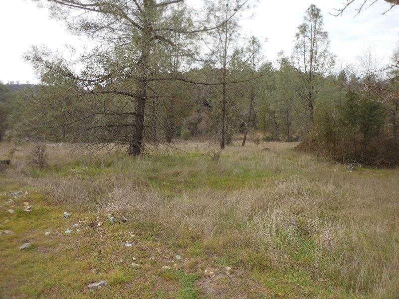 22448 Jennifer Drive