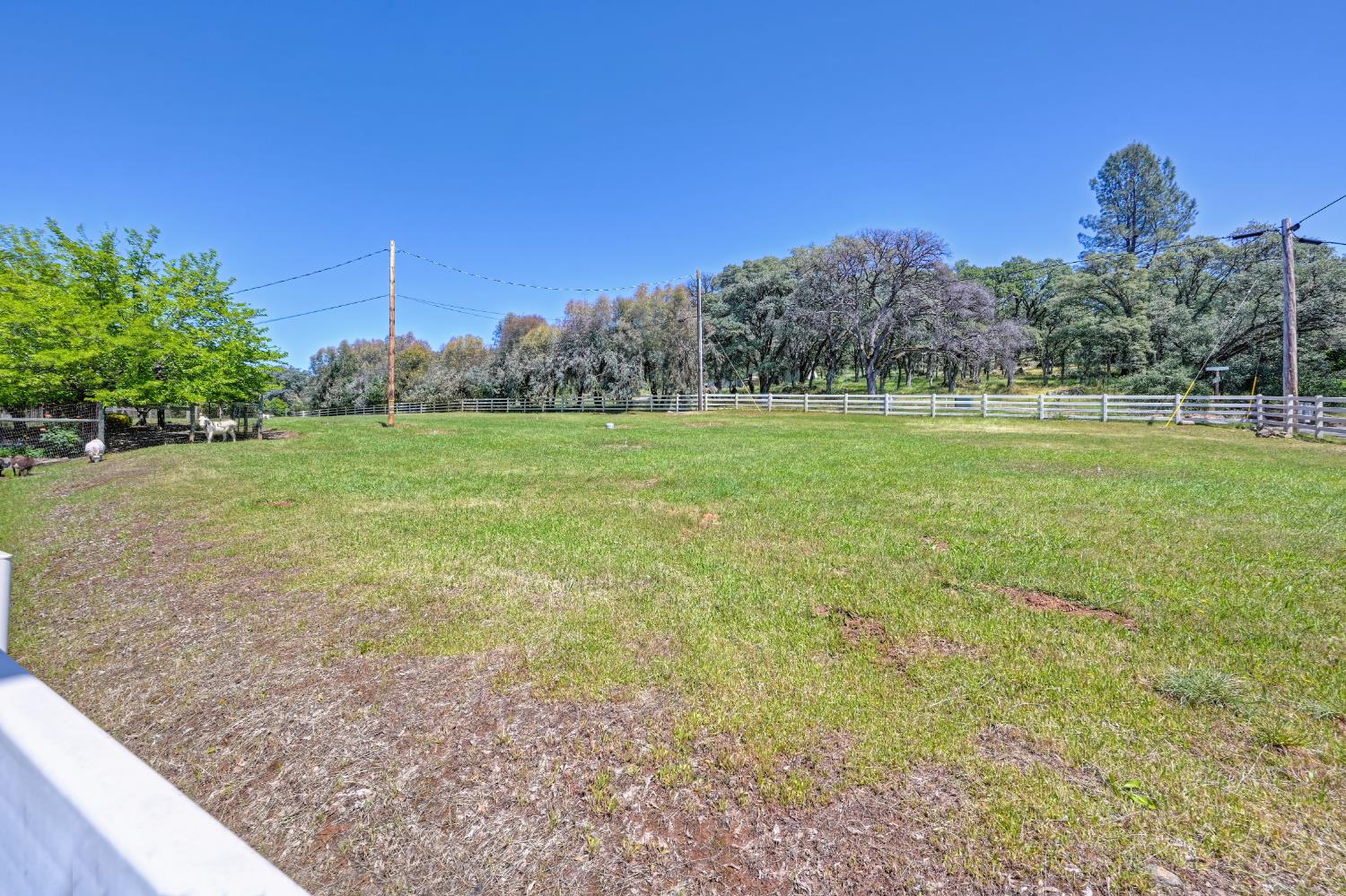 10805 Cramer Rd