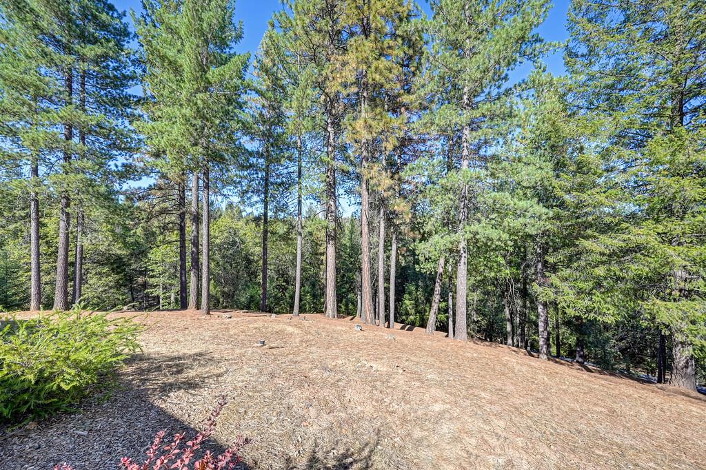 22050 Alton Trail