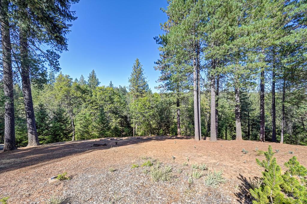 22050 Alton Trail