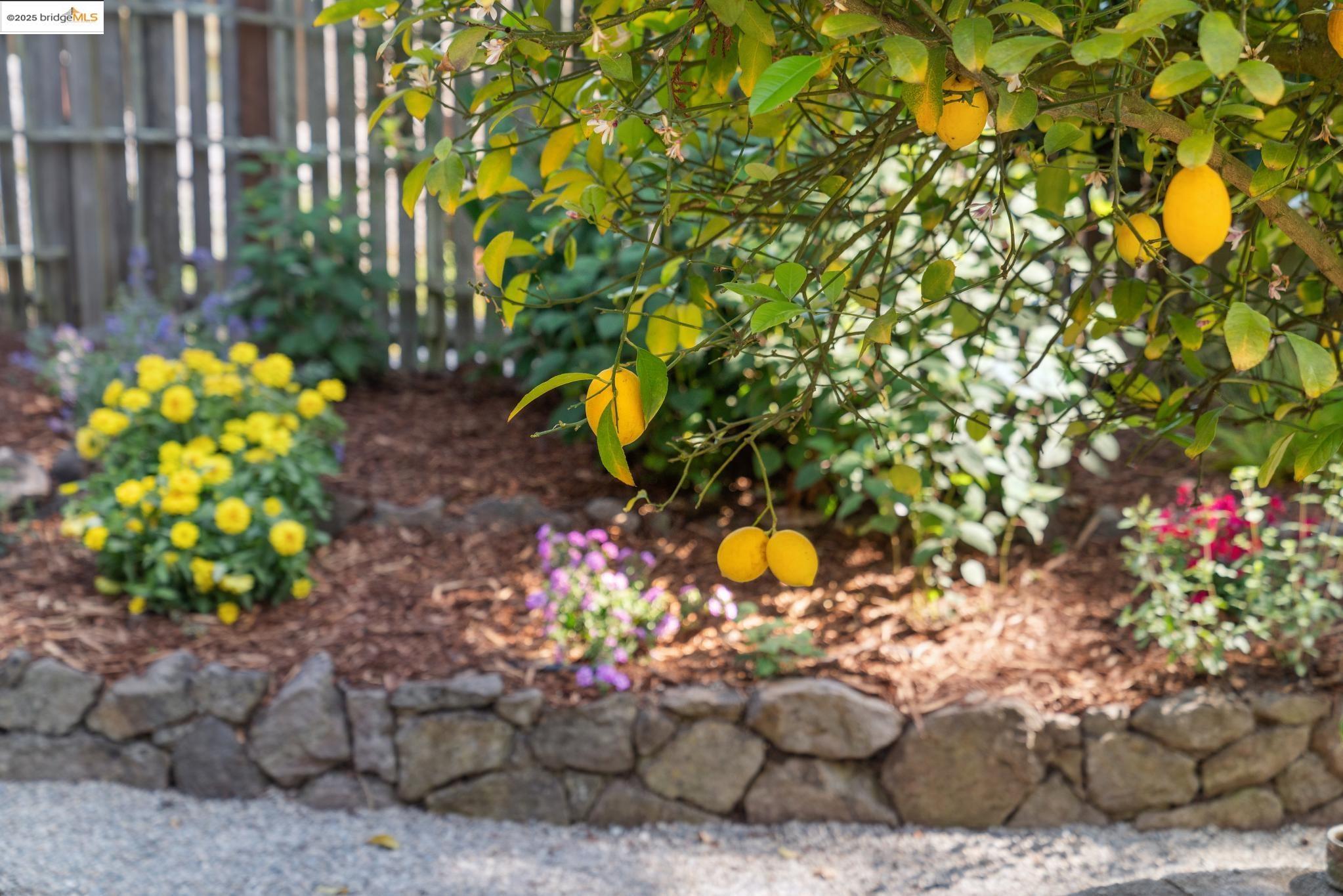 1346 Grizzly Peak Blvd