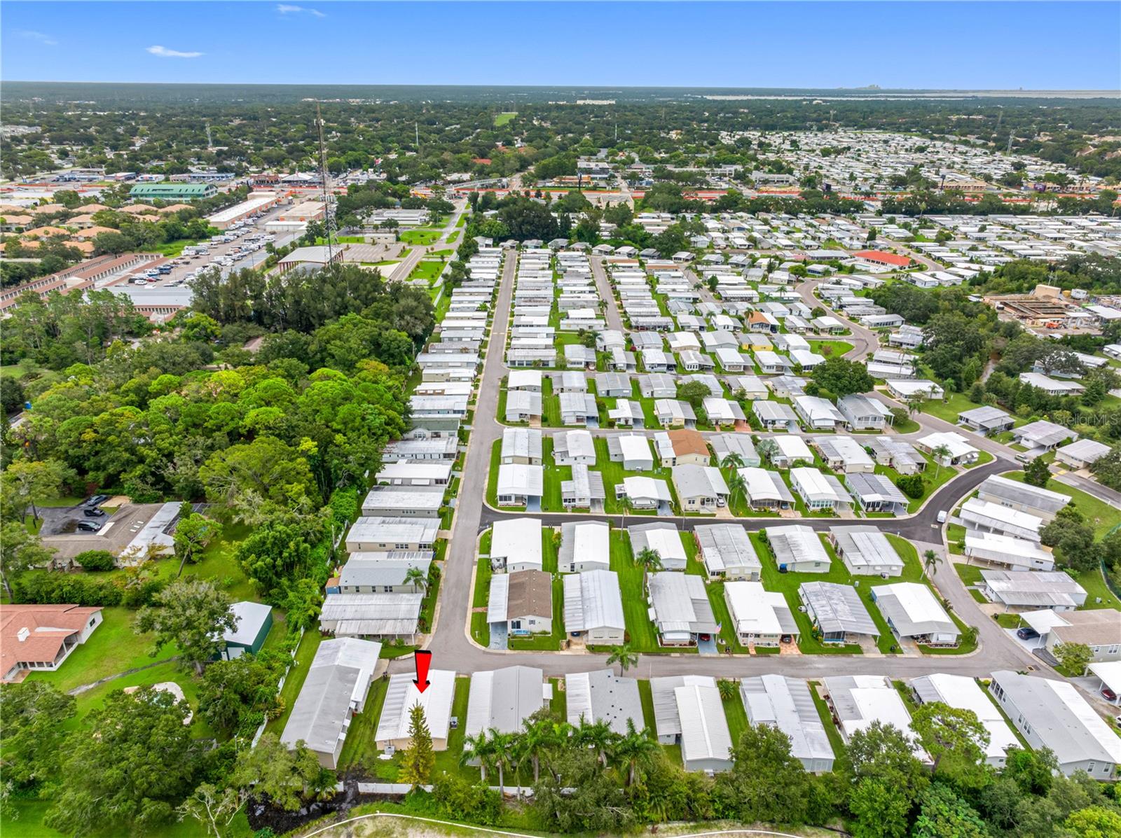 29250 US HIGHWAY 19 N #116