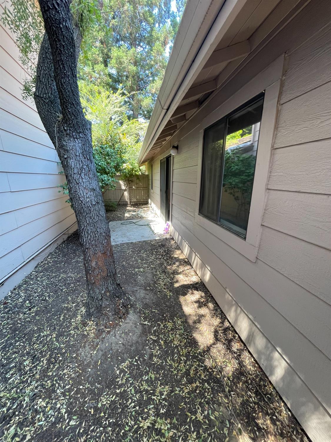 8153 Rose Vine Lane