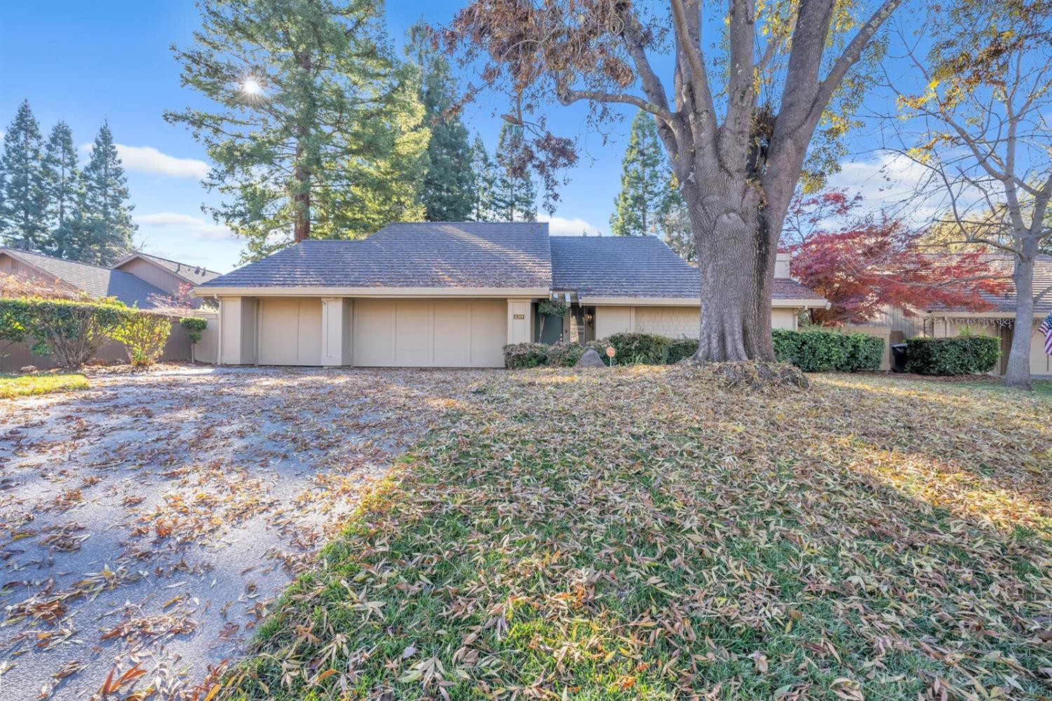 11319 Mother Lode Circle