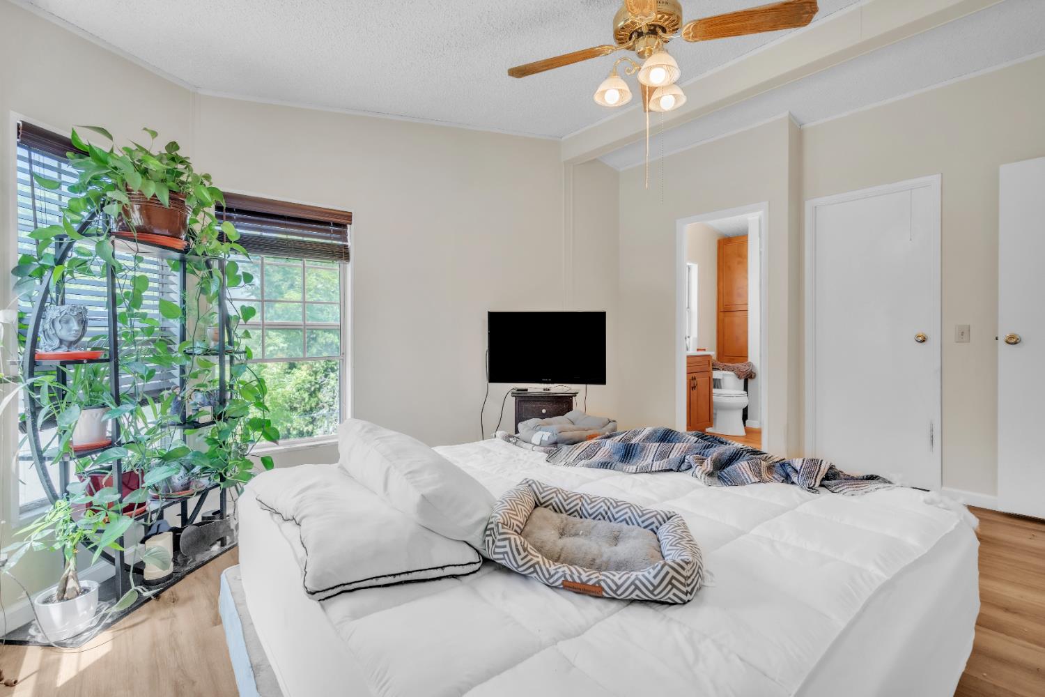 8074 Perry Creek Road 31