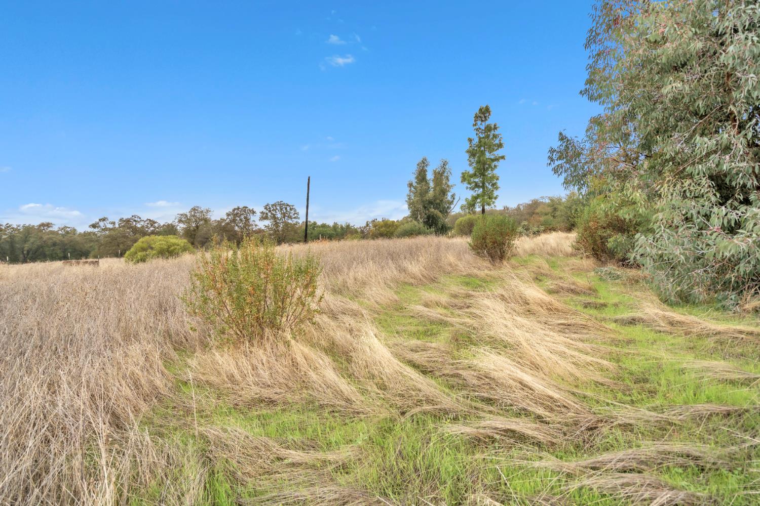 12578 Scott Grant Road