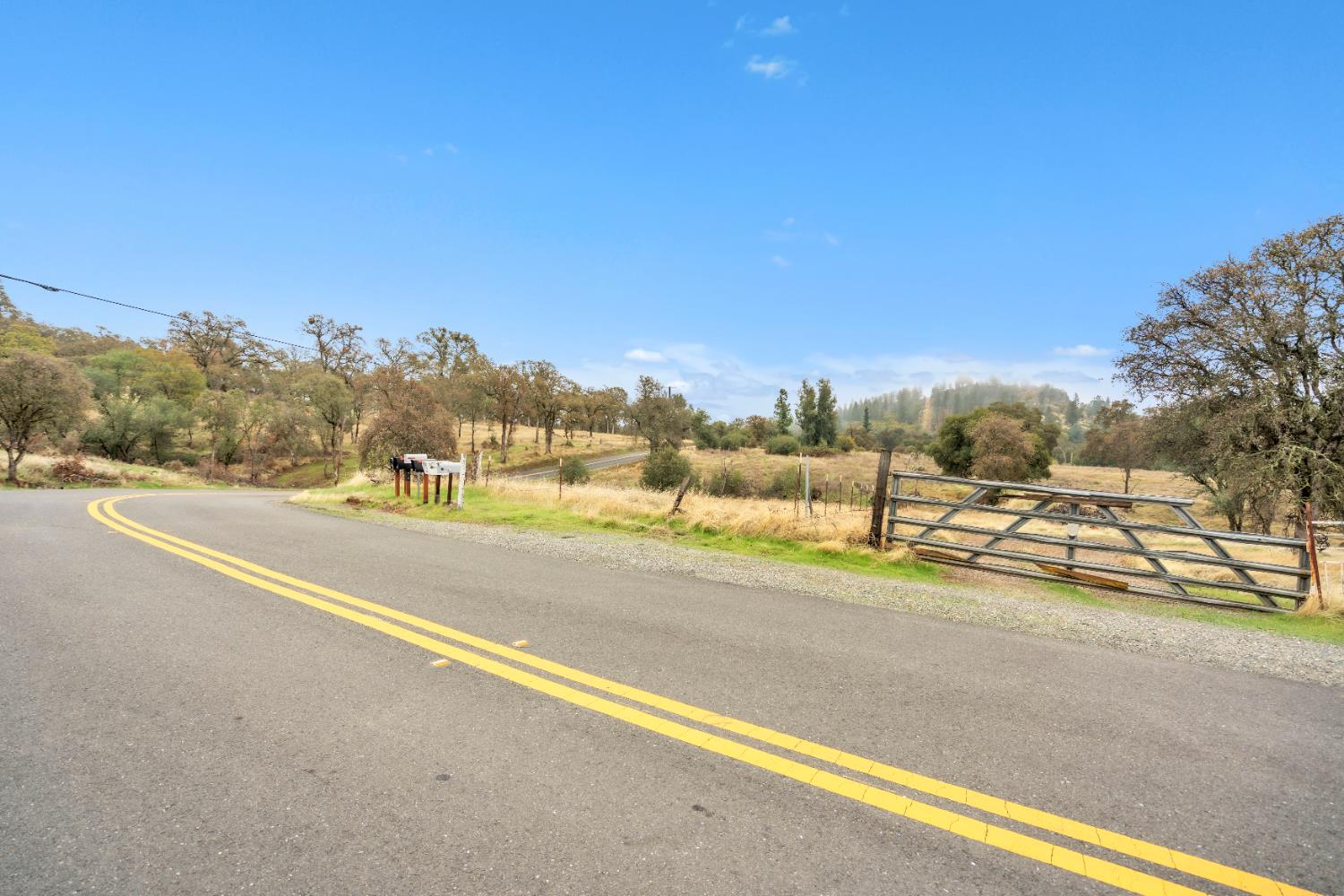 12578 Scott Grant Road