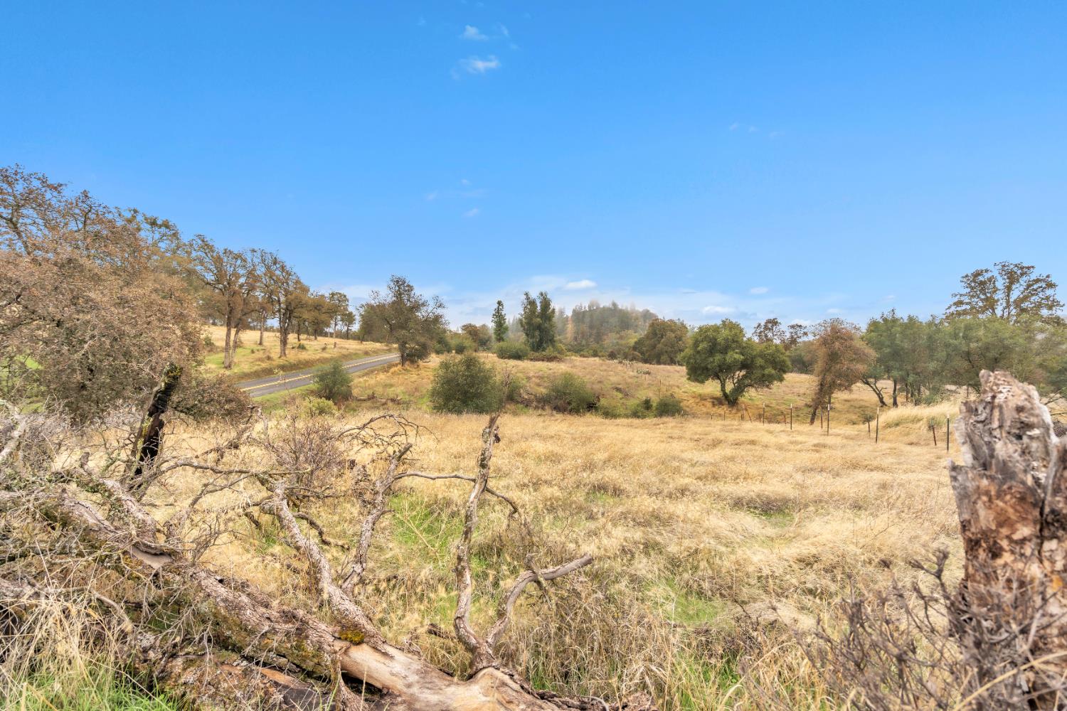 12578 Scott Grant Road