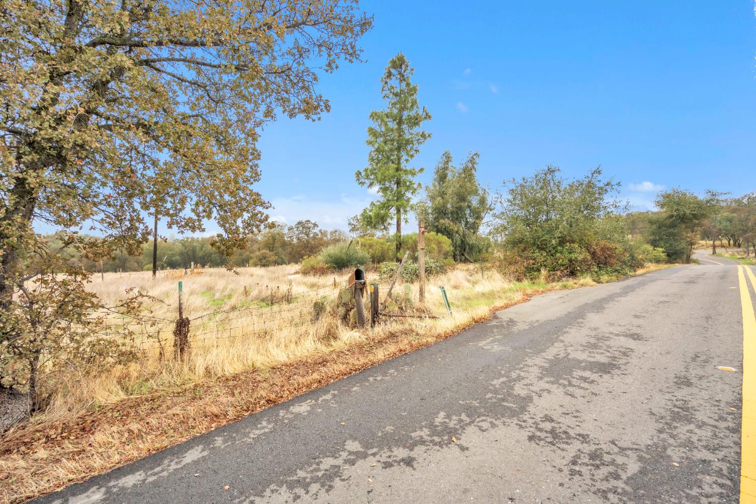 12578 Scott Grant Road