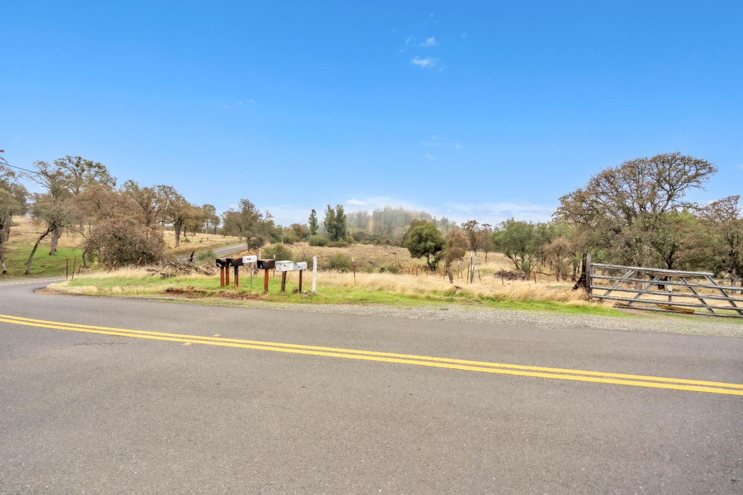 12578 Scott Grant Road