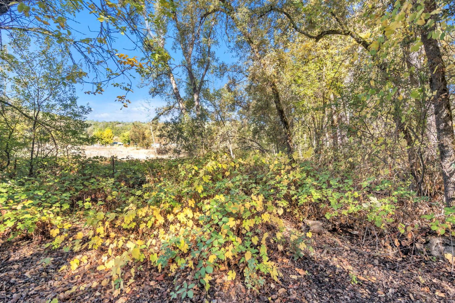 10185 Valley Drive